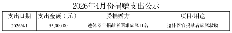 4月捐赠支出-1
